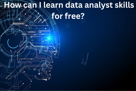 Read more about the article How can I learn data analyst skills for free?