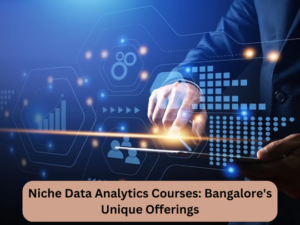 Niche Data Analytics Courses Bangalore's Unique Offerings